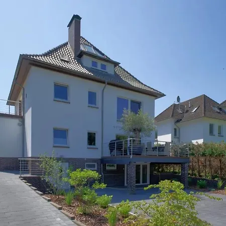 Steinbock *